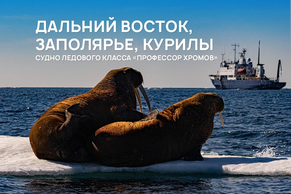 Экспедиции по России — расписание 2024 - 2025, цены, онлайн ...